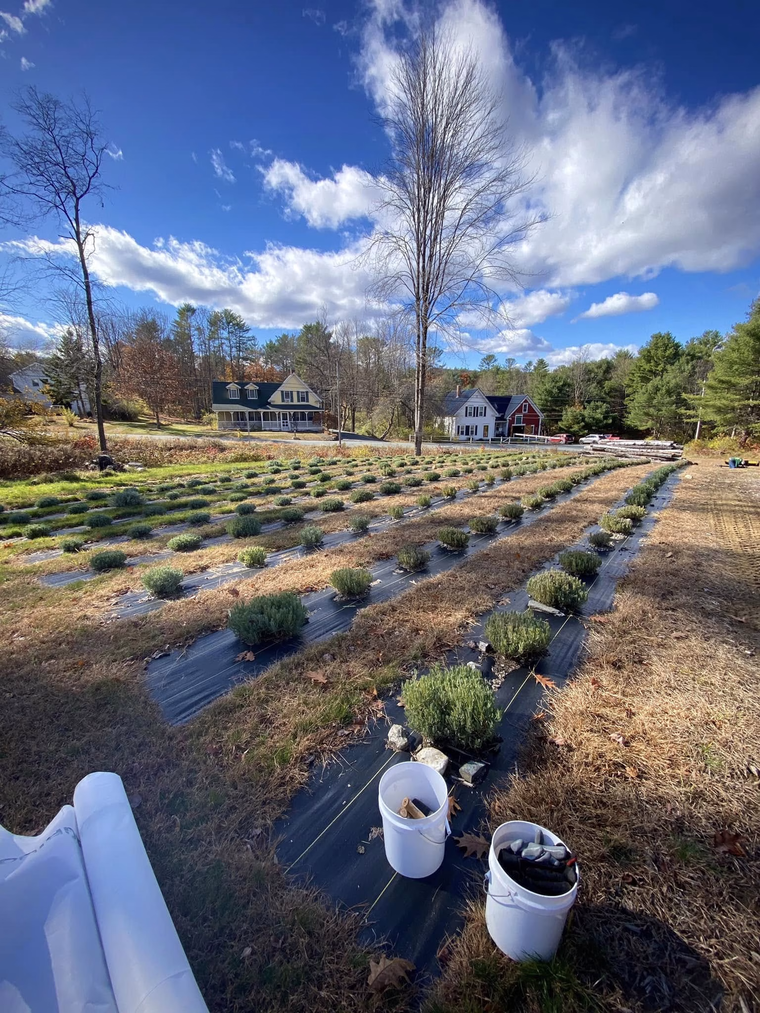 Field 3 getting ready to be covered for the winter.