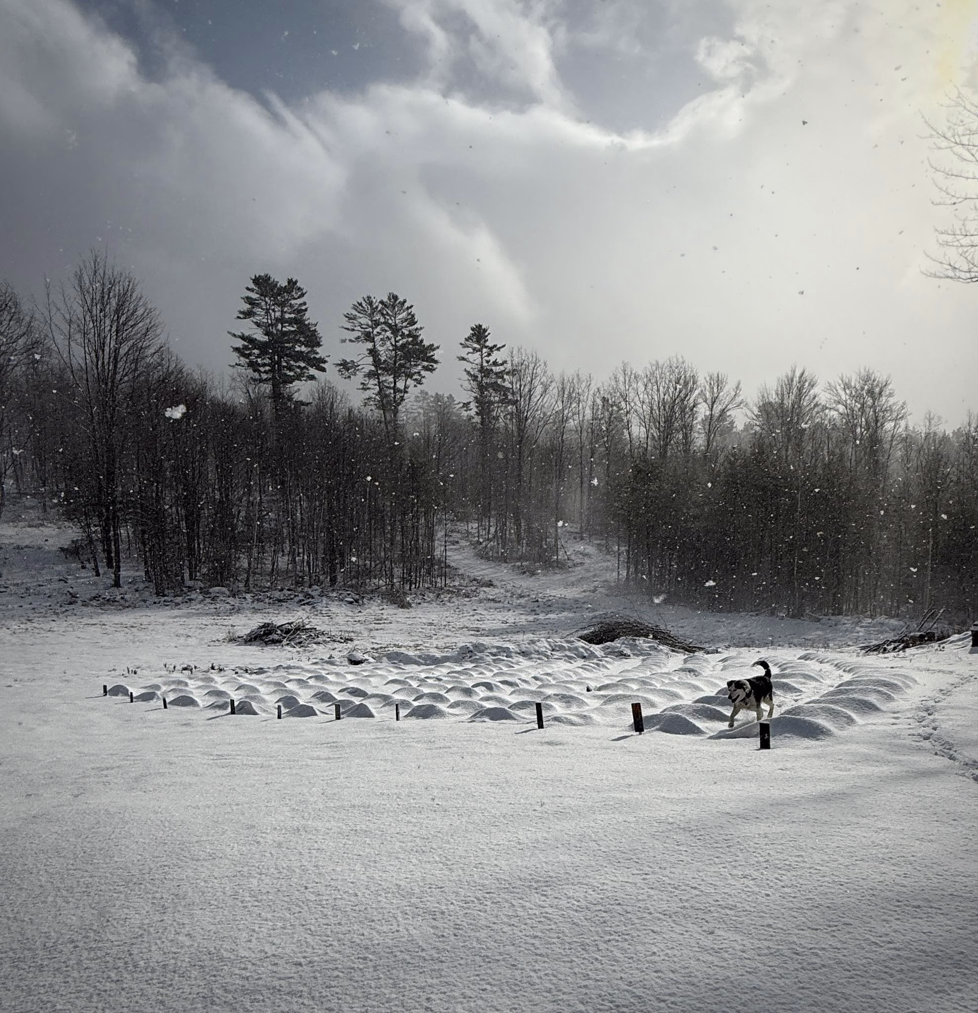 482356786_567914112954982_5141286168879920378_n