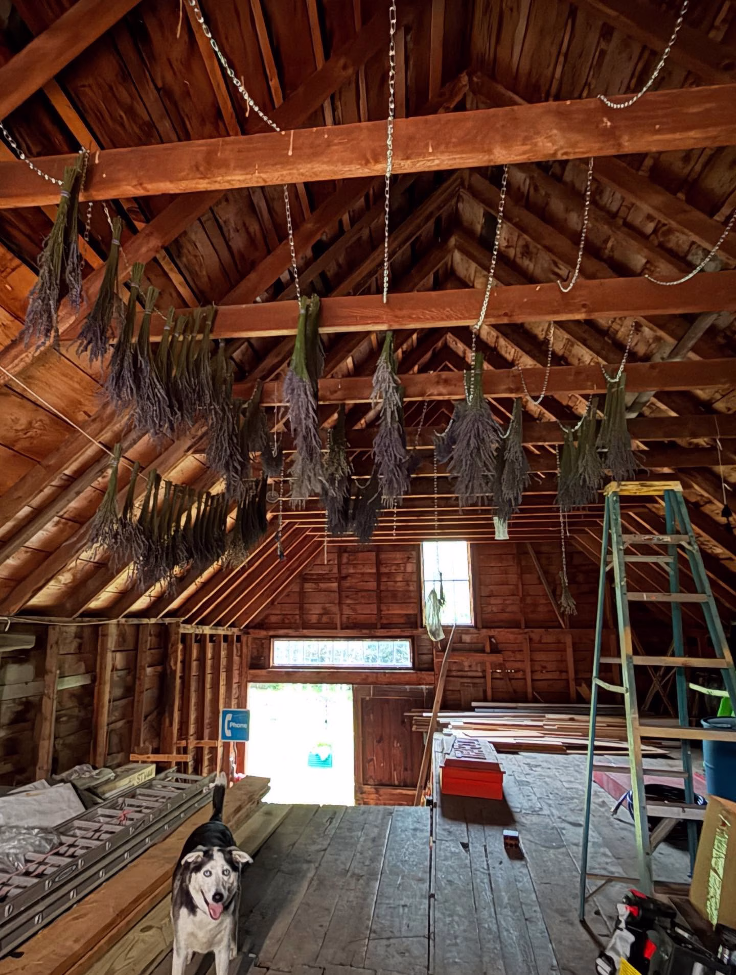 520740228_17956540883974475_8628891199283362343_n